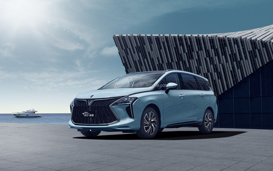 Pentium Nat 5 Seat Wysokowydajne samochody elektryczne 140 km/h Kolor biały czarny