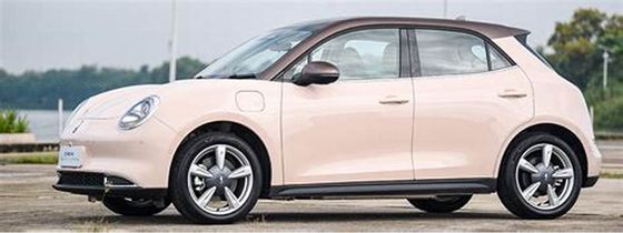 150 km/h Ekologiczne pojazdy elektryczne 400 km ORA Good Cat Pure Electric Cars