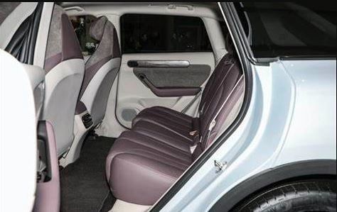 Automotive High Speed ​​Electric Vehicles SUV New Energy Lingpao C11 dla dorosłych