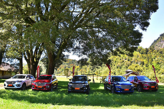 110 km Samochody elektryczne z napędem na 4 koła GWM Haval H6 DHT PHEV Pojazdy hybrydowe typu plug-in