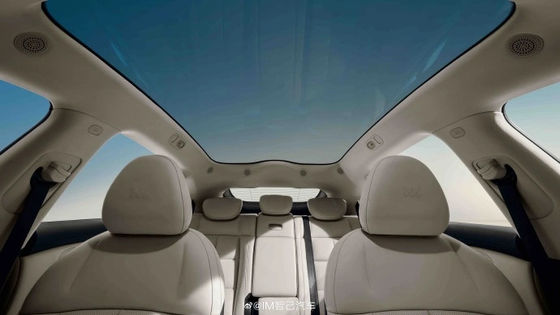 Zhiji LS6 Maksymalna moc 575kw Wszystkie samochody elektryczne z maksymalną prędkością 252 km / h