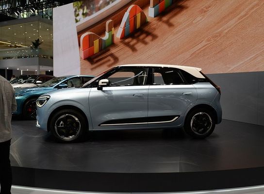 Czysty pojazd elektryczny Dongfeng Nano 01 2024 330Liter z prędkością maksymalną 140km/h