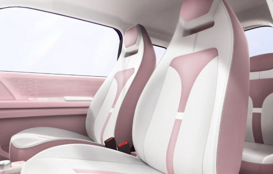 Opcje wielokolorowe Mini Ev Cars Zhido Rainbow z CLTP 205km 17,13/17,3kwh Bateria dla mocy 20&30kw